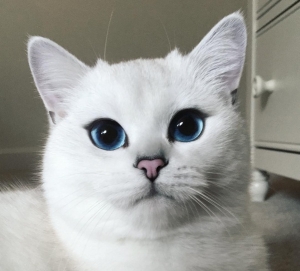 /pliki/zdjecia/św 1.jpeg